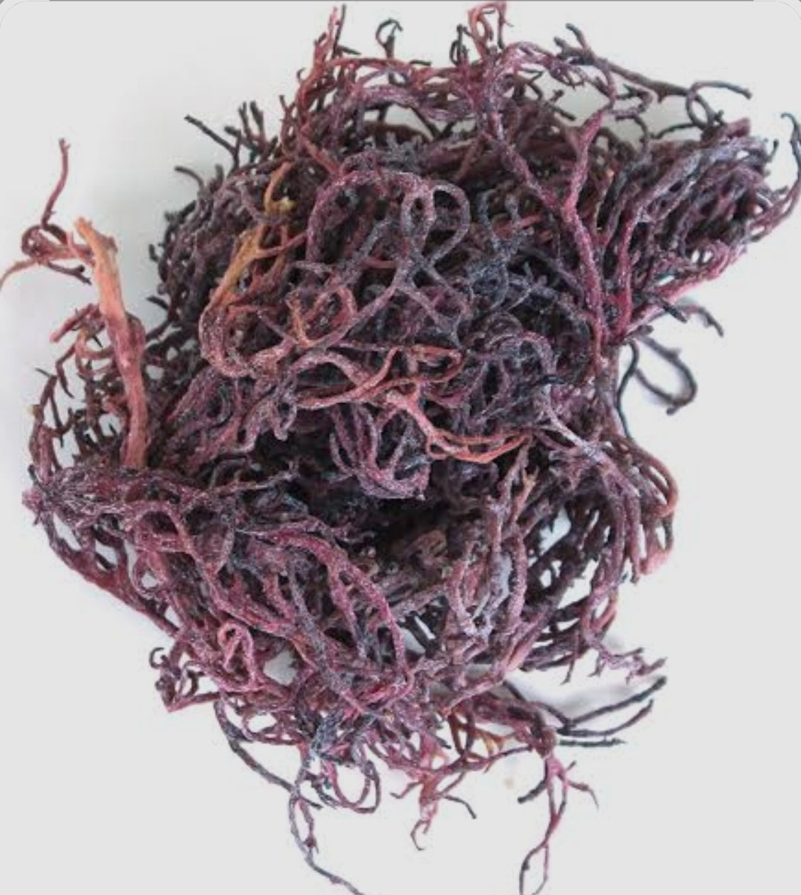 2oz Purple Raw Seamoss