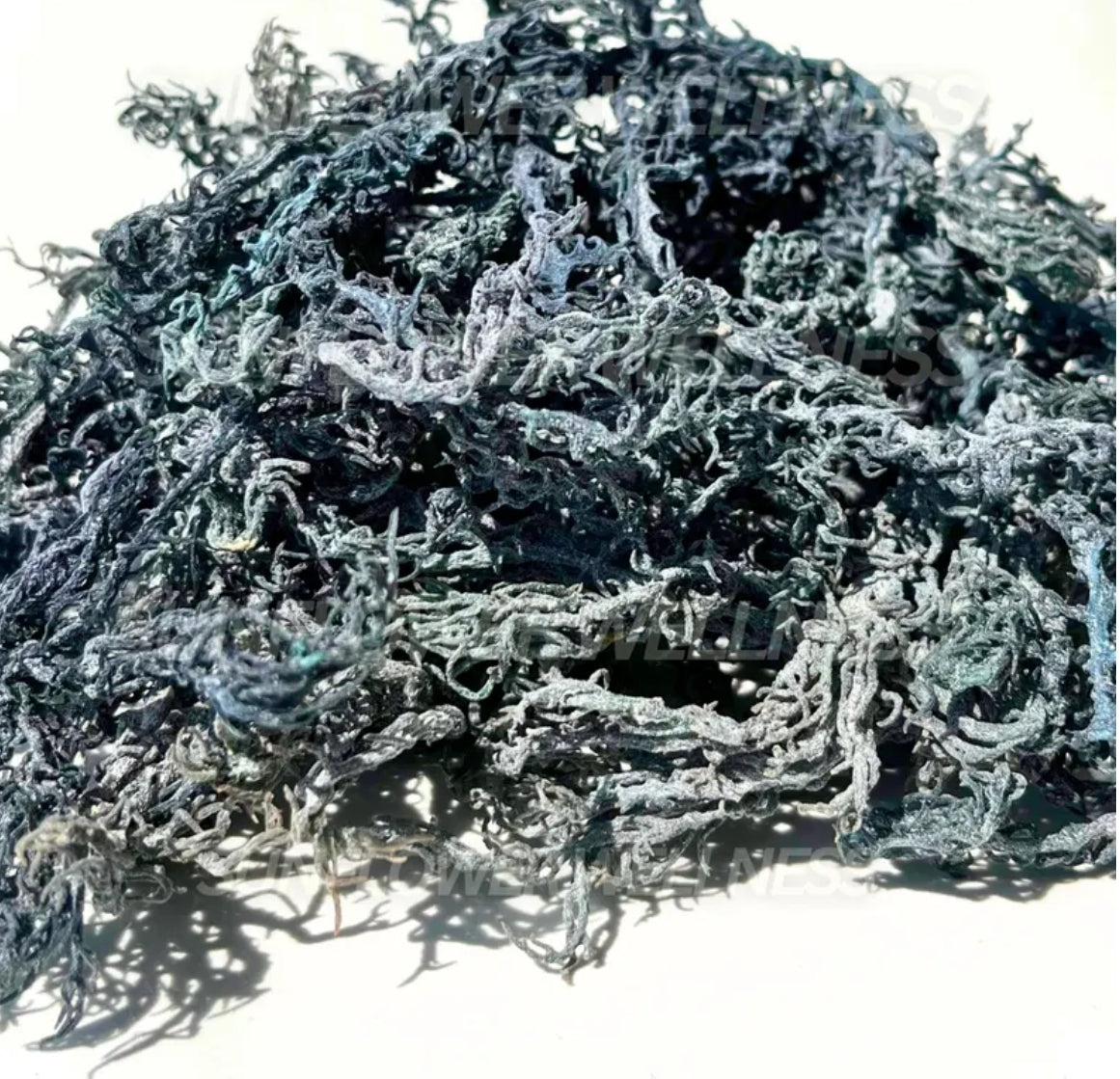 2 oz Green Raw Seamoss