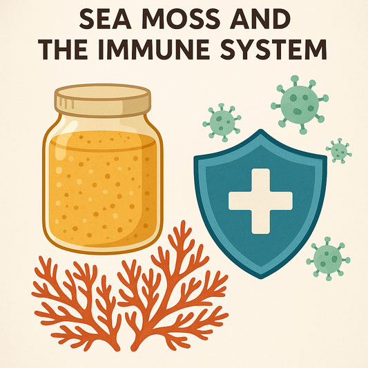 The Immune-Boosting Power of Sea Moss: A Natural Supplement with Potential Benefits